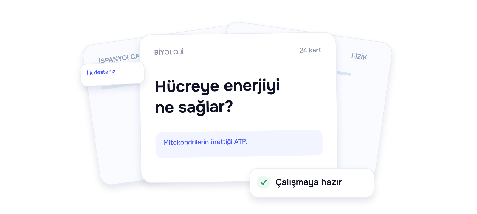 Çalışmaya hazır Biyoloji, İspanyolca ve Fizik destelerinden oluşan bir yığın